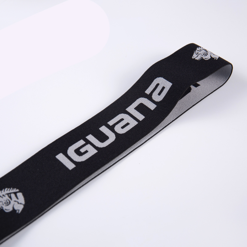 ইলাস্টিক ব্যান্ড